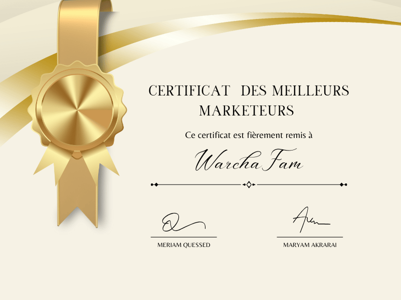 formation marketing digitale maroc